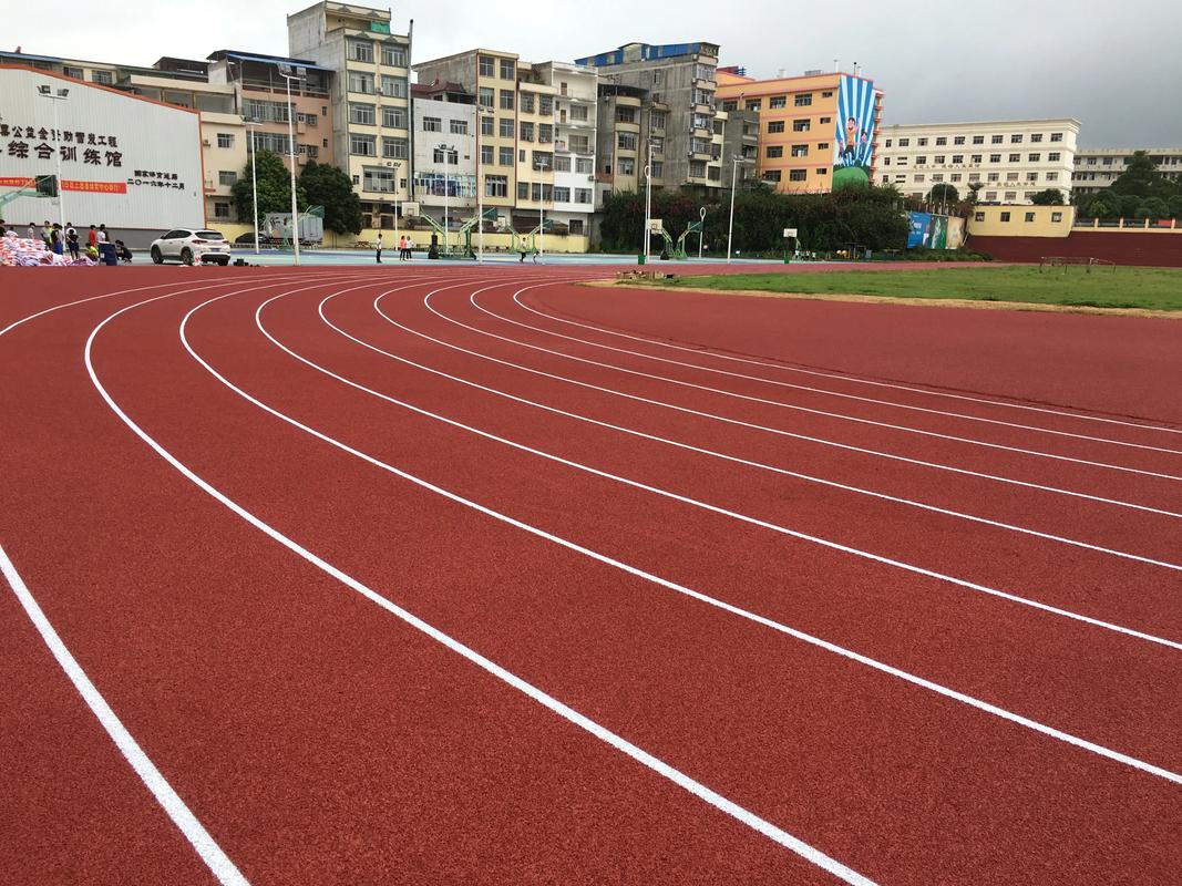 钦州市EPDM颗粒塑胶跑道材料 - 排名